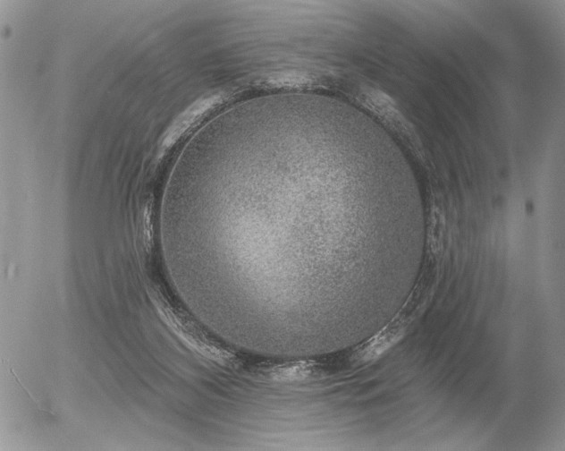 X0000056350116200508261322