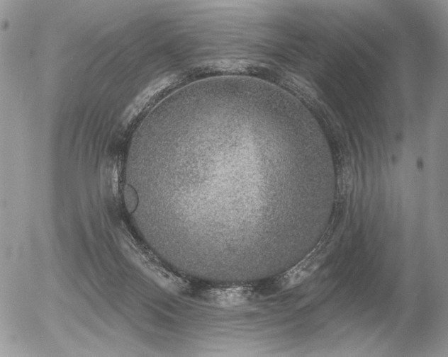 X0000056350120200508261321