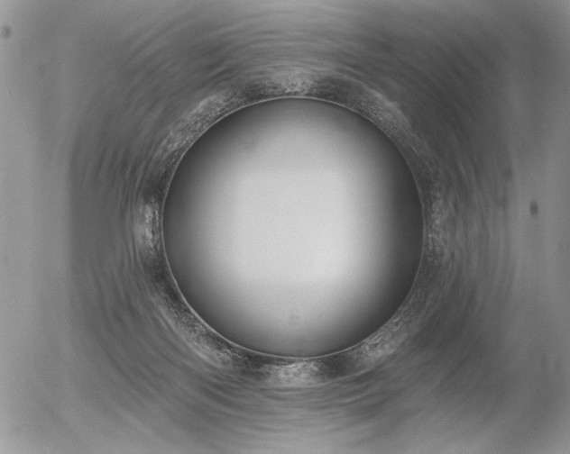 X0000056350122200508261321