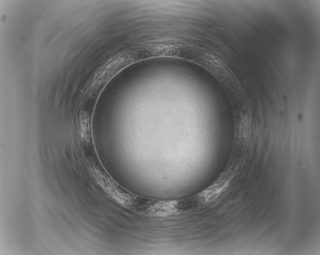 X0000056350138200508261321