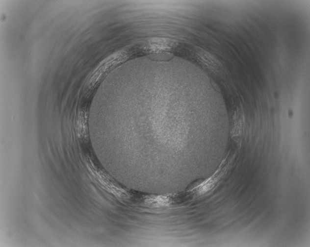 X0000056350140200508261321