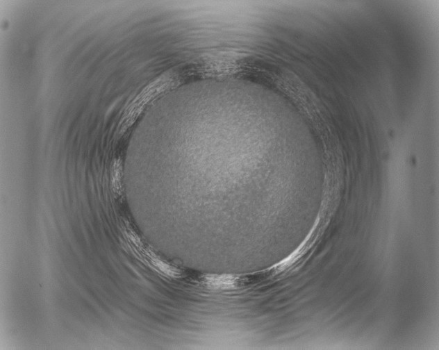 X0000056350144200508261321