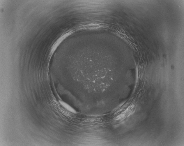 X0000056350147200508261320