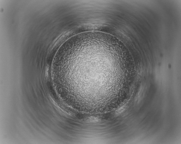 X0000056350166200508261321