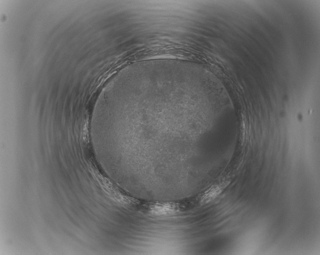 X0000056350177200508261321