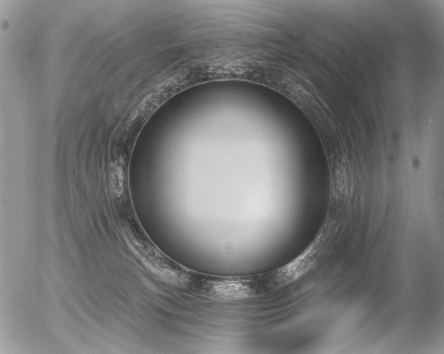X0000056350183200508261321
