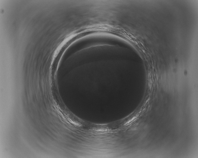 X0000056350200200508261320