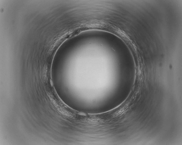X0000056350201200508261320
