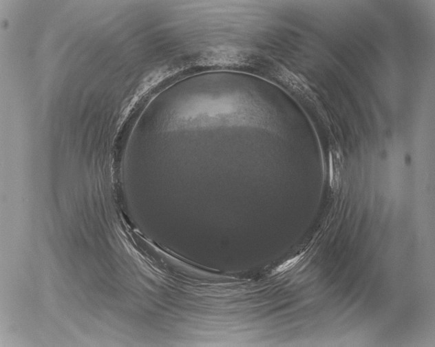 X0000056350204200508261320