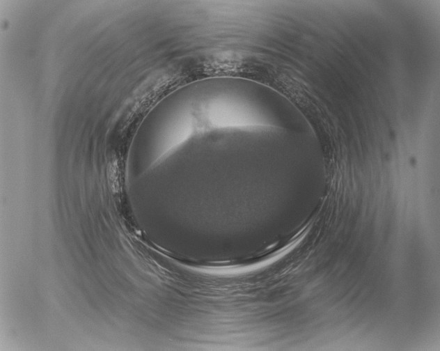 X0000056350224200508261320