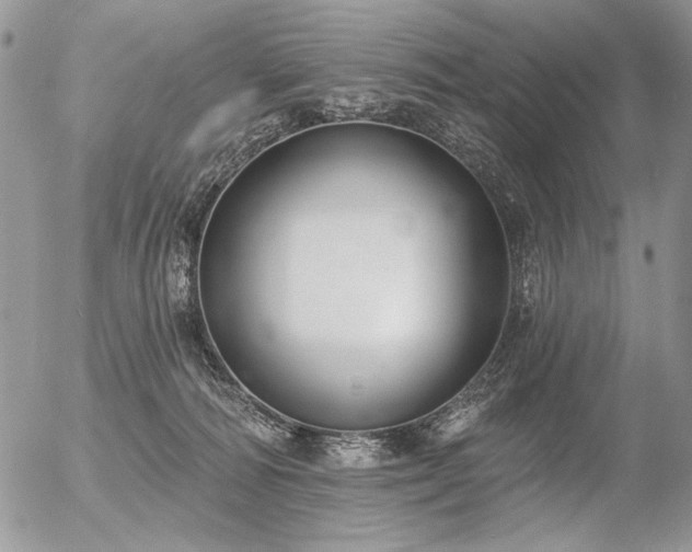 X0000056350226200508261320