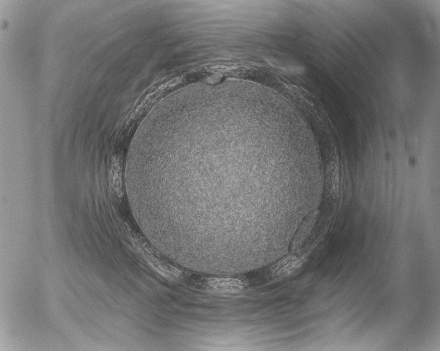X0000056350234200508261320