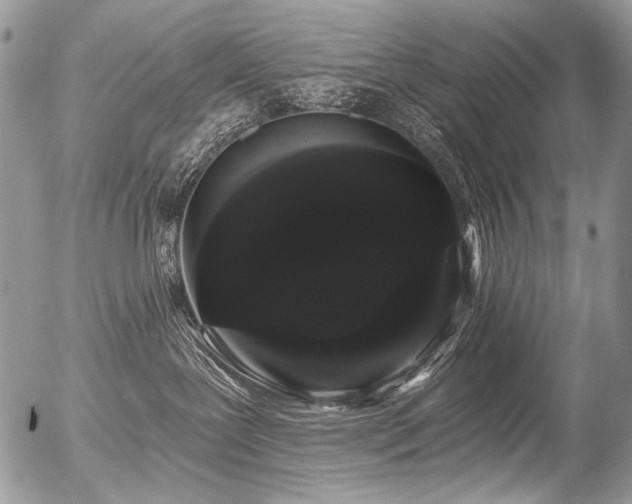 X0000056350239200508261319