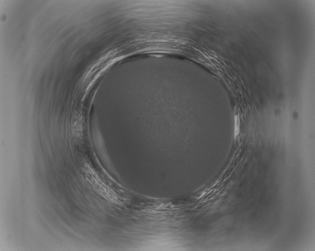 X0000056350243200508261319