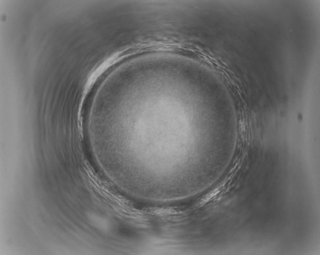 X0000056350246200508261319