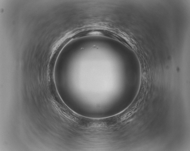 X0000056350248200508261319