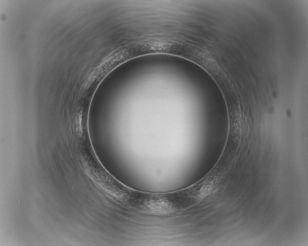 X0000056350262200508261319