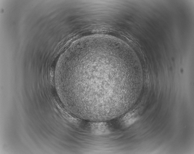 X0000056350281200508261319