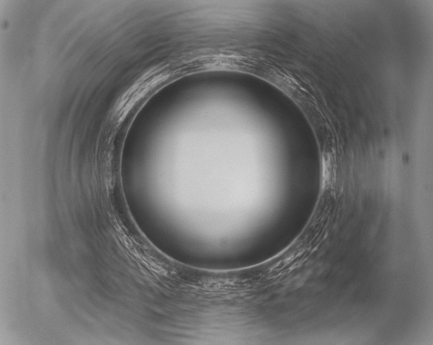 X0000056350291200508261319