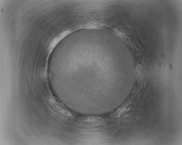 X0000056350292200508261319