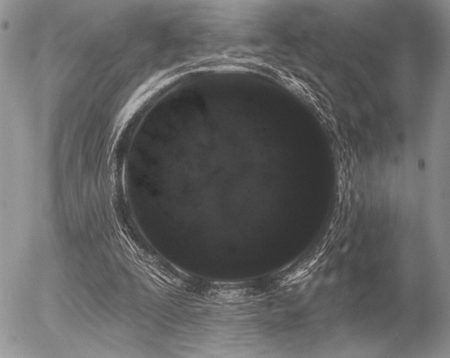 X0000056350295200508261319