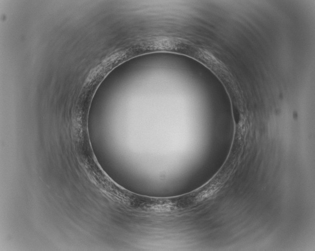 X0000056350306200508261318