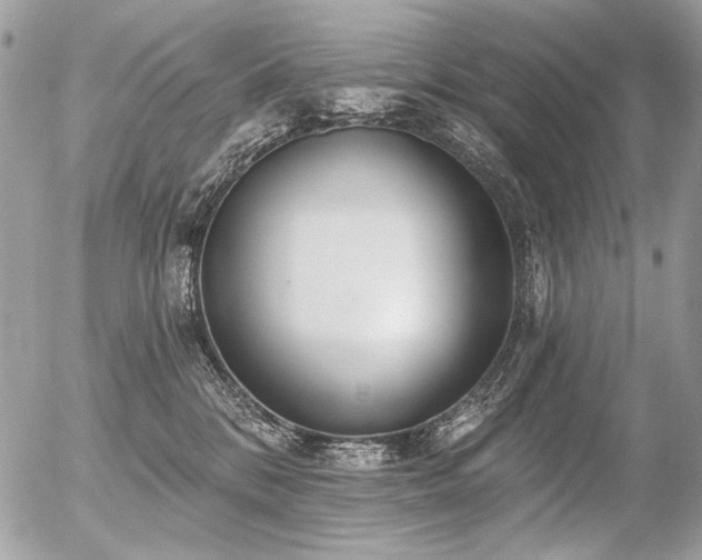 X0000056350328200508261318