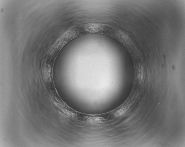 X0000056350332200508261318
