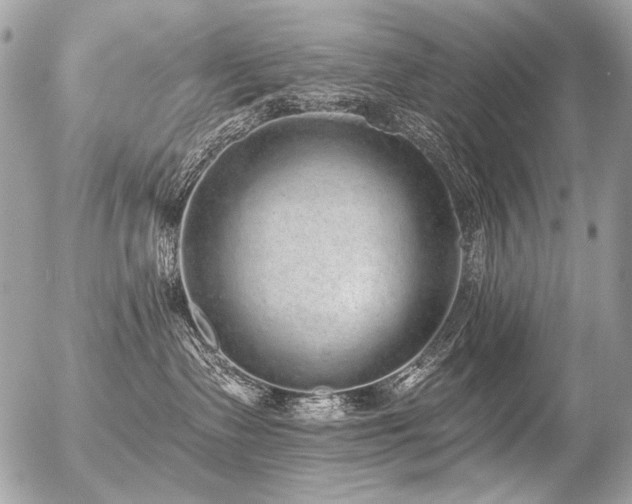 X0000056350335200508261318