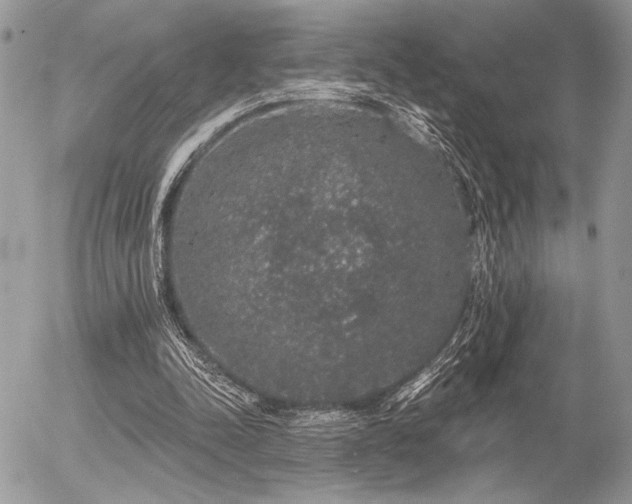 X0000056350342200508261317