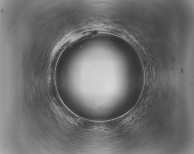 X0000056350344200508261317