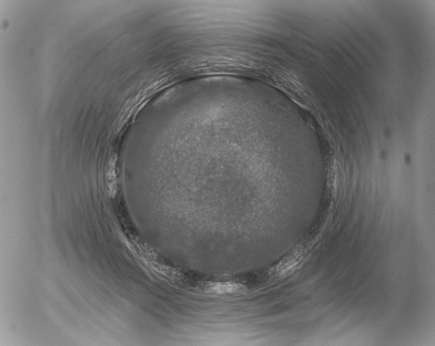 X0000056350360200508261317