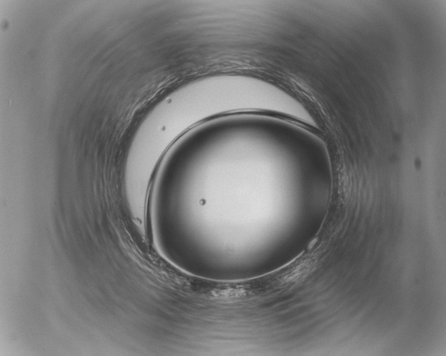 X0000056350362200508261317