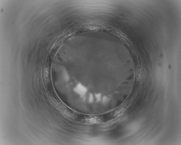X0000056350365200508261318