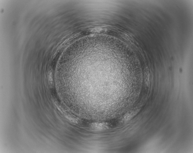 X0000056350375200508261318