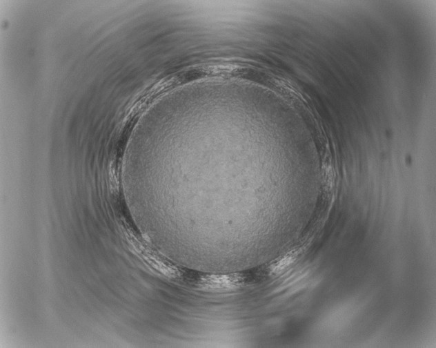 X0000056350381200508261318