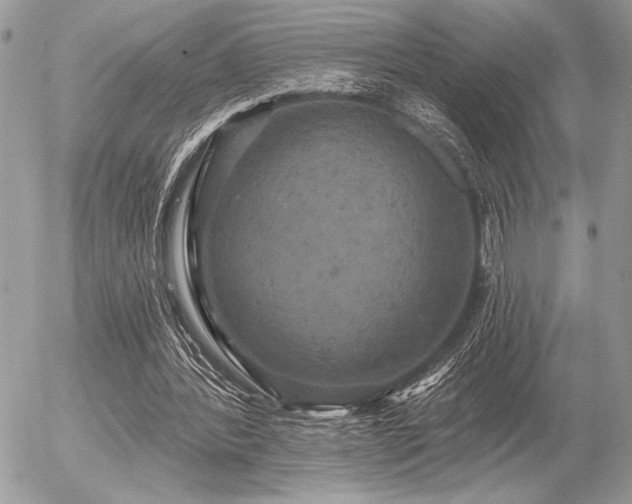 X0000056350388200508261317