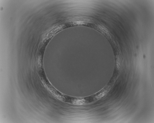 X0000056350410200508261317