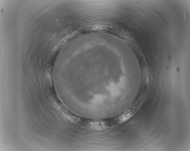 X0000056350415200508261317