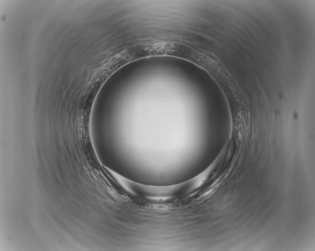 X0000056350416200508261317