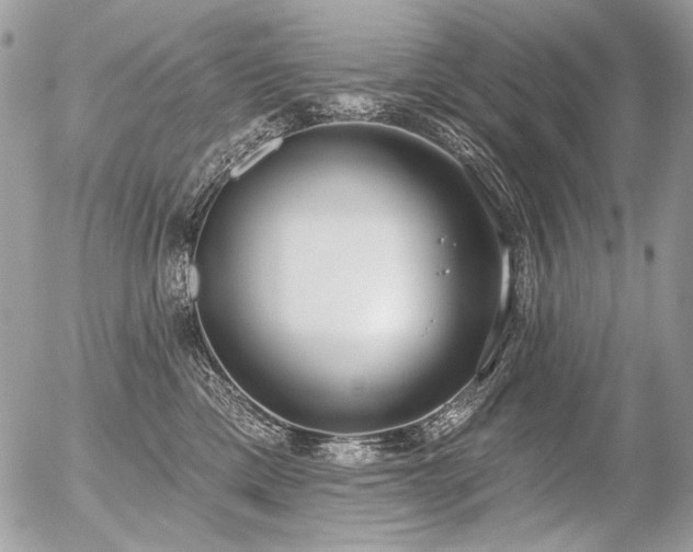 X0000056350425200508261316