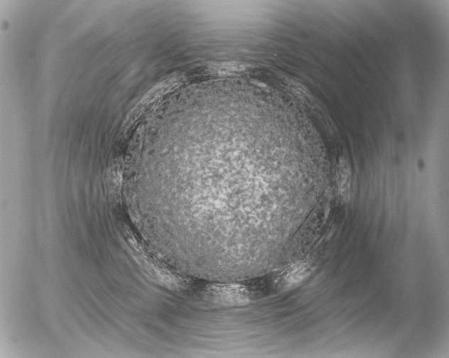 X0000056350427200508261316