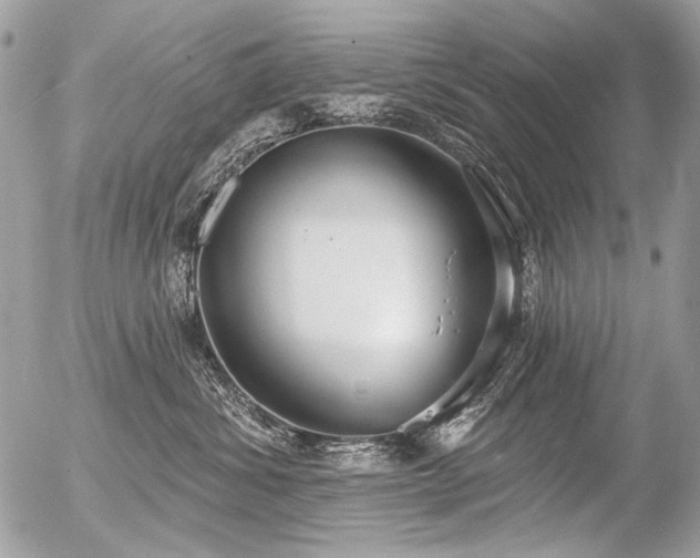 X0000056350428200508261316