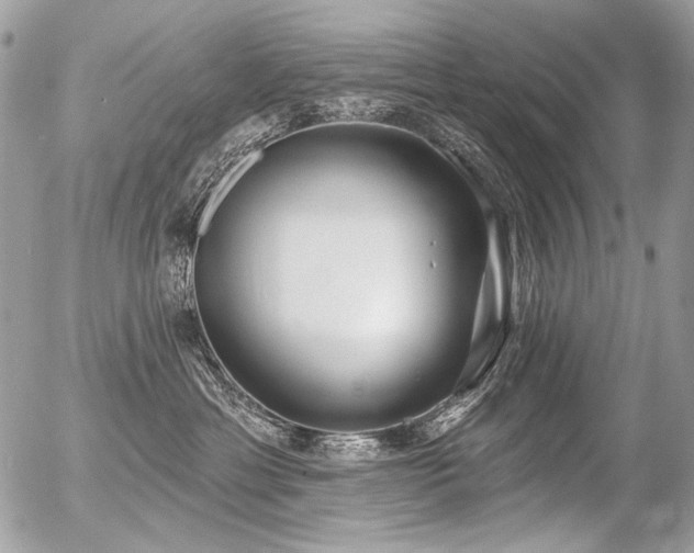 X0000056350429200508261316