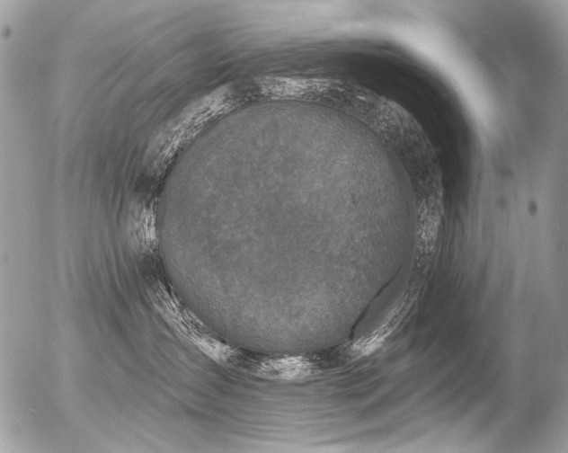 X0000056350431200508261316