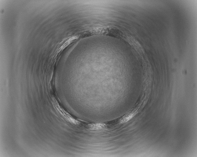 X0000056350432200508261316
