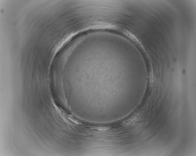 X0000056350436200508261315