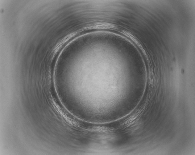 X0000056350437200508261315
