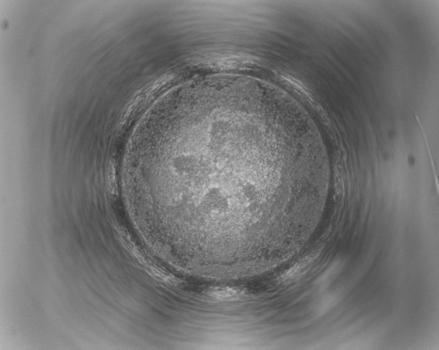 X0000056350453200508261316