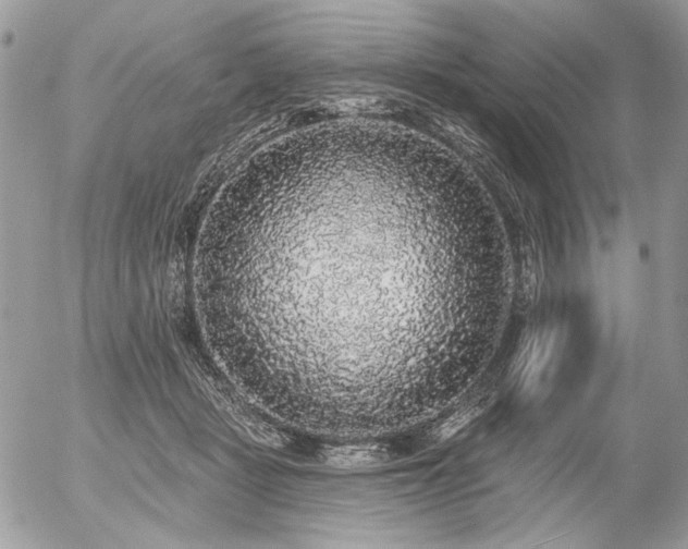 X0000056350461200508261316
